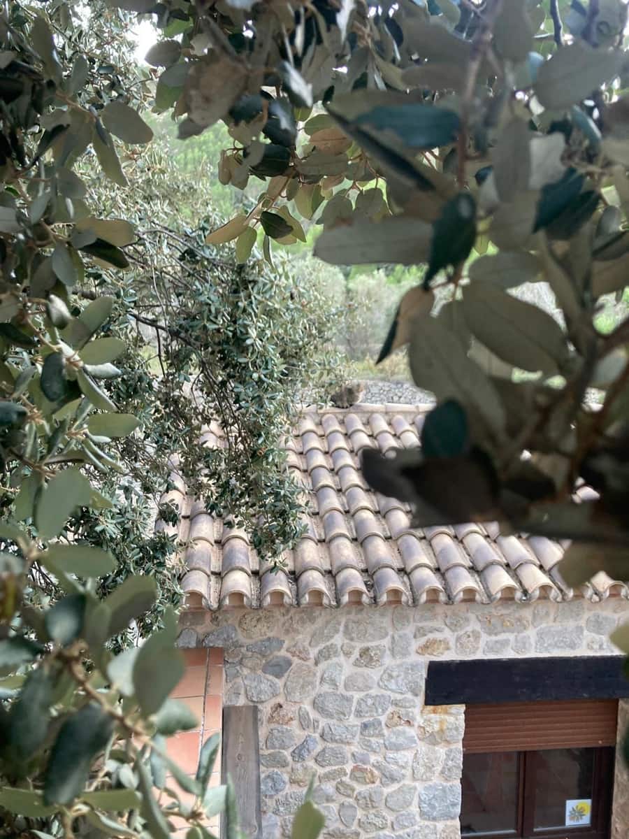 2 camera da letto Villa in vendita in Vall de Laguart - 296.900 € (Rif: 9523038)