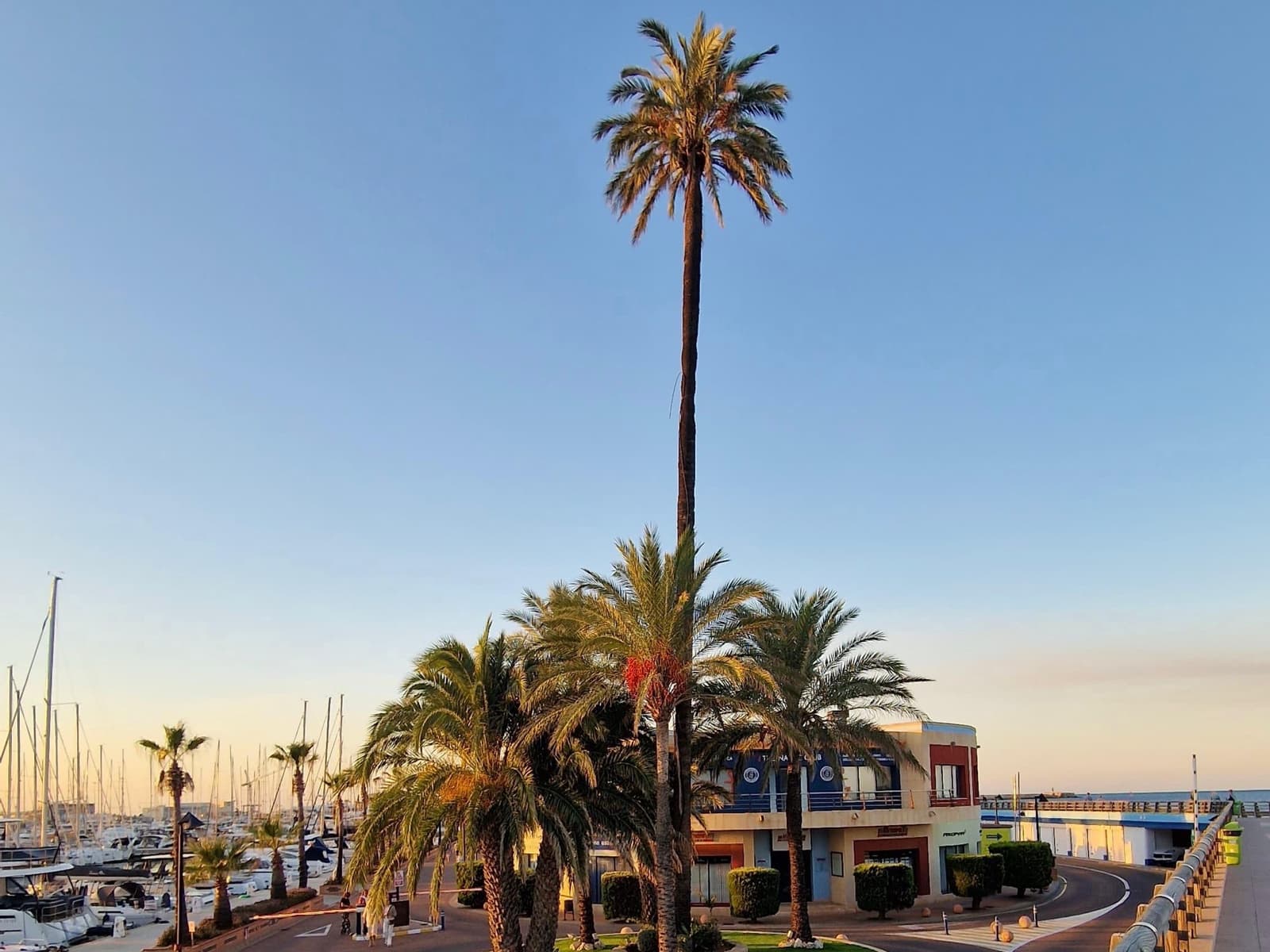 2 sovrum Strandlägenhet till salu i Denia med pool garage - 472 500 € (Ref: 9714239)