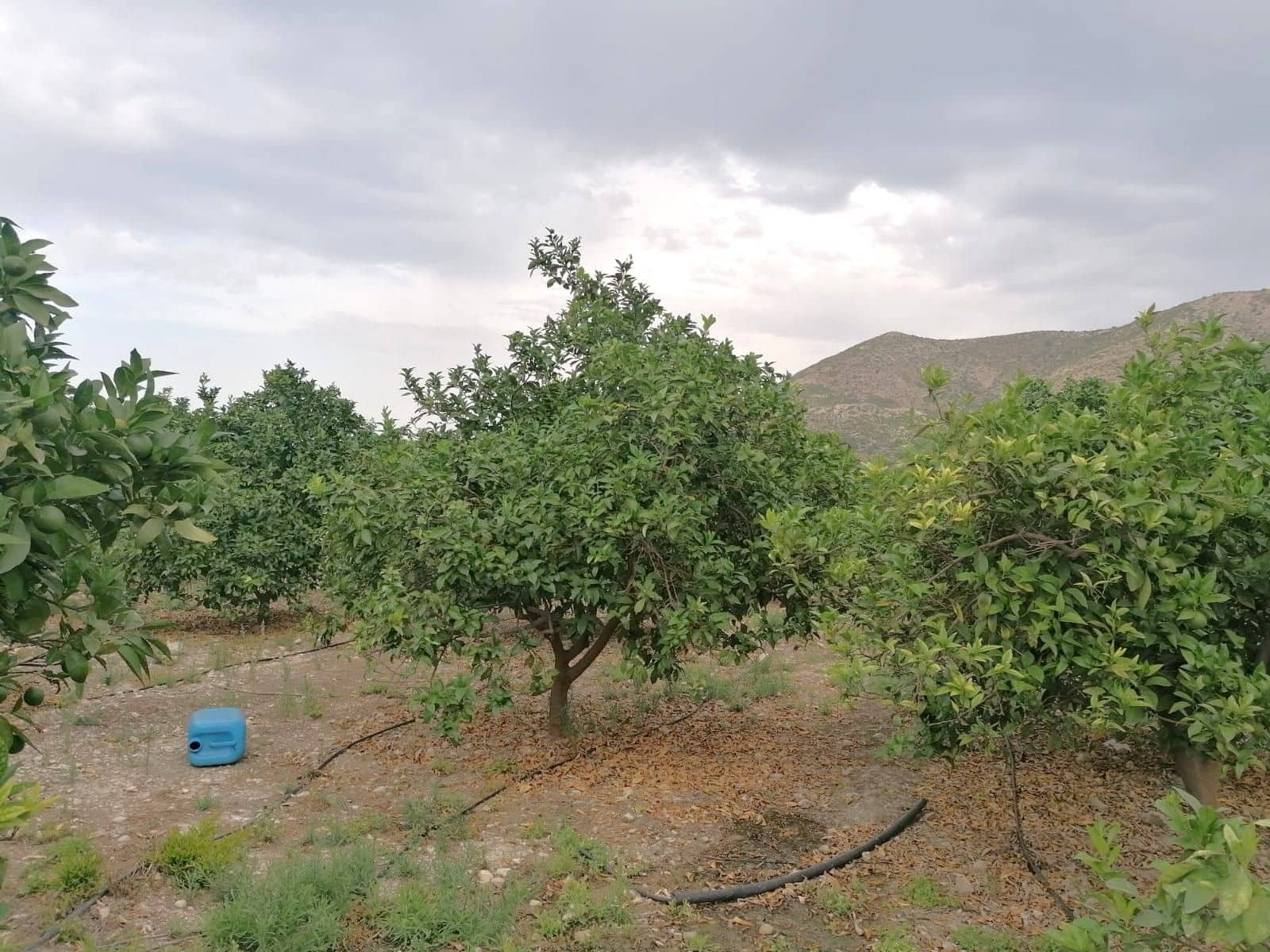 Terrain à Bâtir à vendre à Forna - 58 500 € (Ref: 9714253)