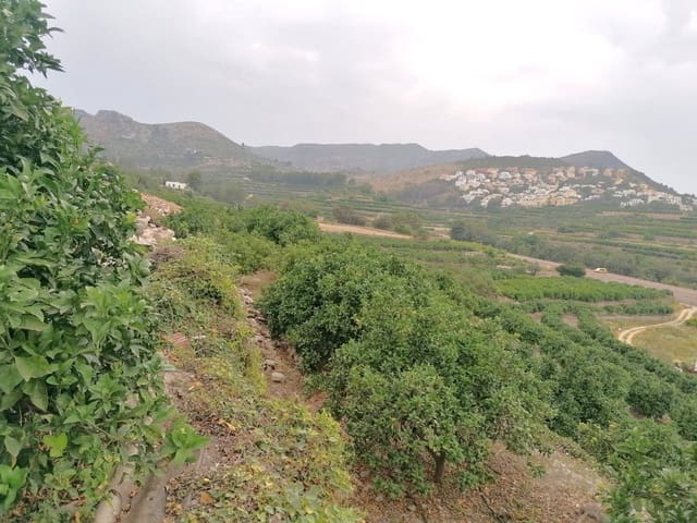 Terrain à Bâtir à vendre à Forna, L'Atzúvia - 58 500 € (Ref: 9714253)