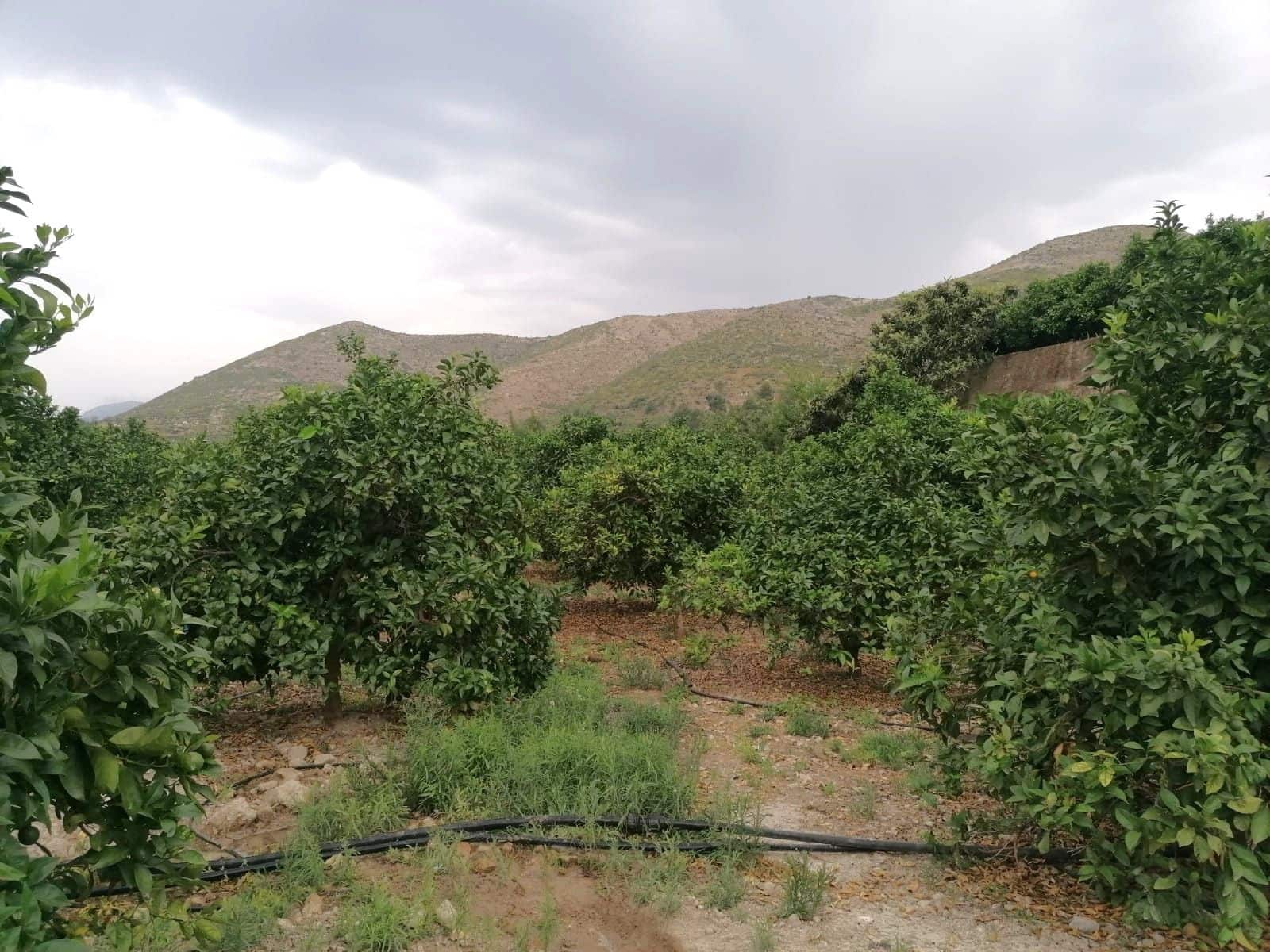 Terrain à Bâtir à vendre à Forna - 58 500 € (Ref: 9714253)