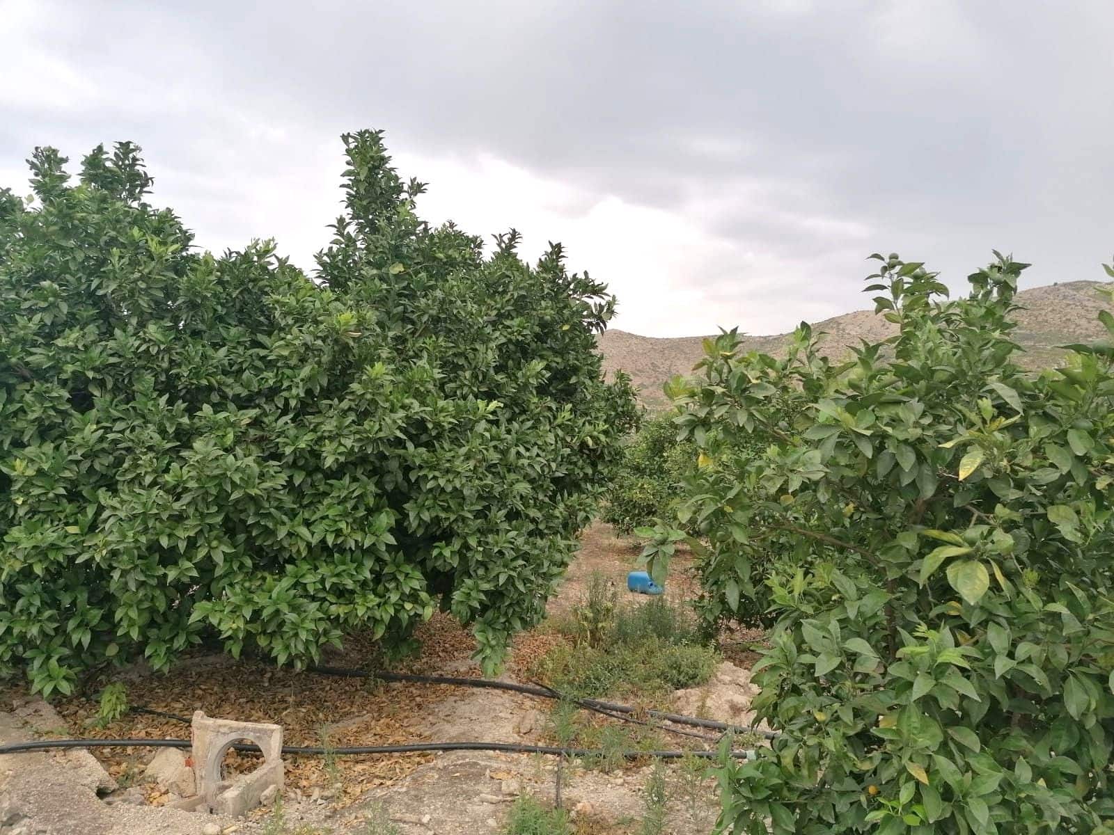 Terrain à Bâtir à vendre à Forna - 58 500 € (Ref: 9714253)