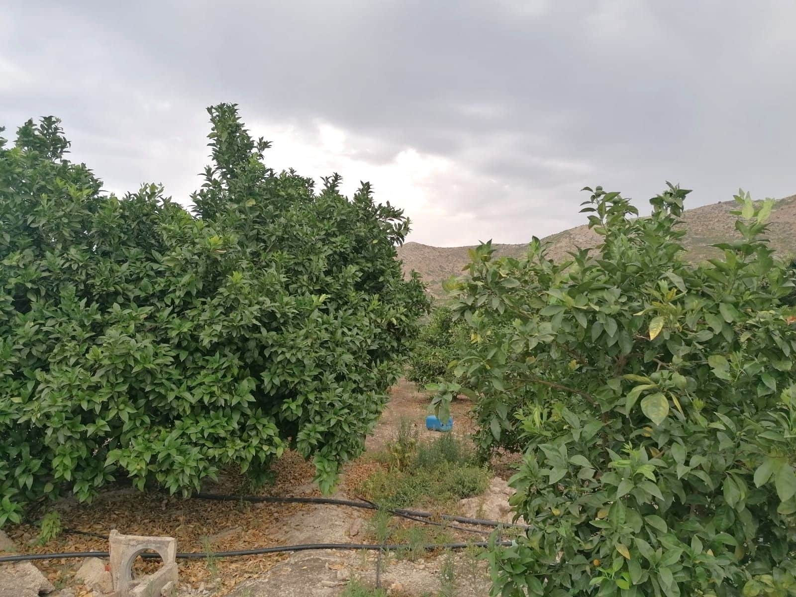 Terrain à Bâtir à vendre à Forna - 58 500 € (Ref: 9714253)