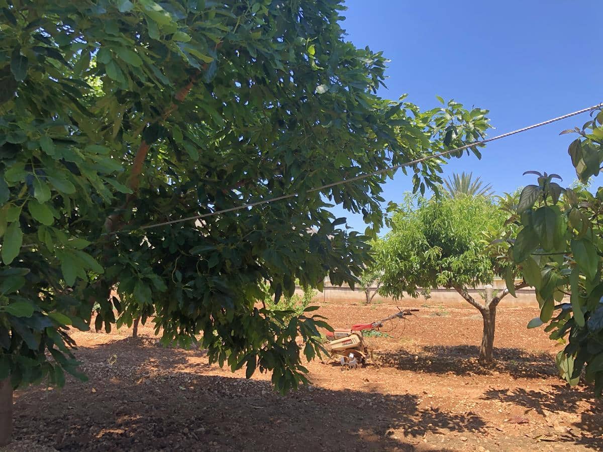 2 sypialnia Finka/Dom wiejski na sprzedaż w Ondara z basenem garażem - 368 000 € (Ref: 9720973)