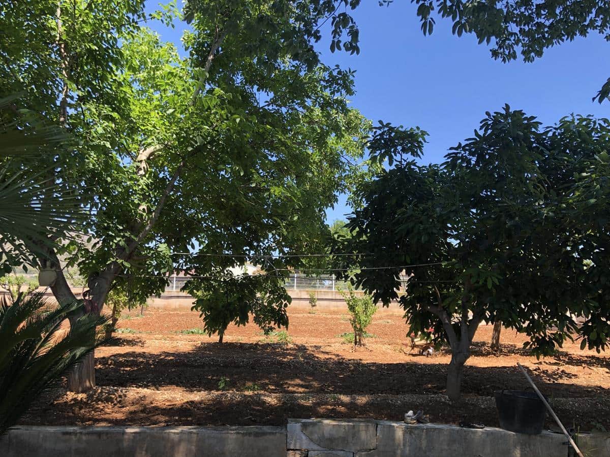 2 sypialnia Finka/Dom wiejski na sprzedaż w Ondara z basenem garażem - 368 000 € (Ref: 9720973)