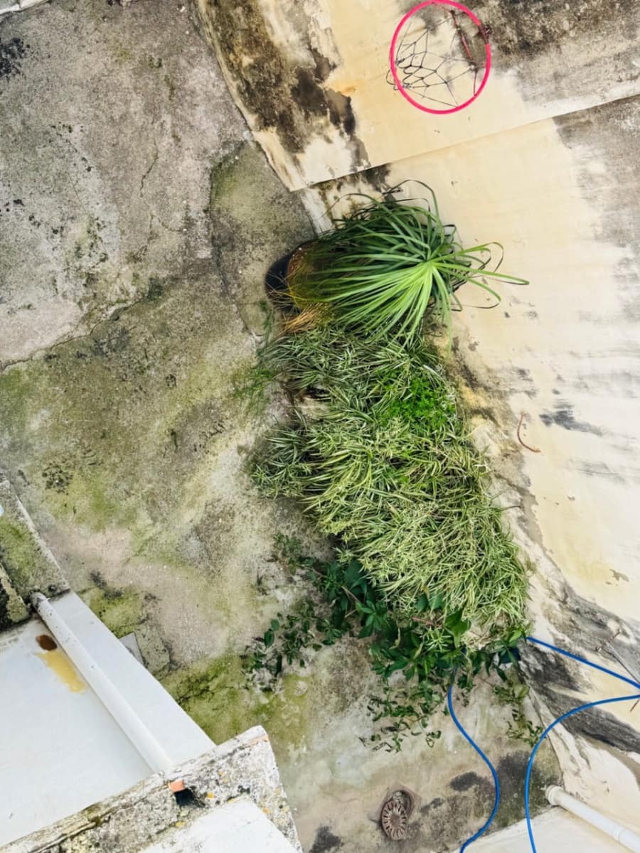 5 bedroom Townhouse for sale in Orba with pool - € 210,000 (Ref: 9720974)