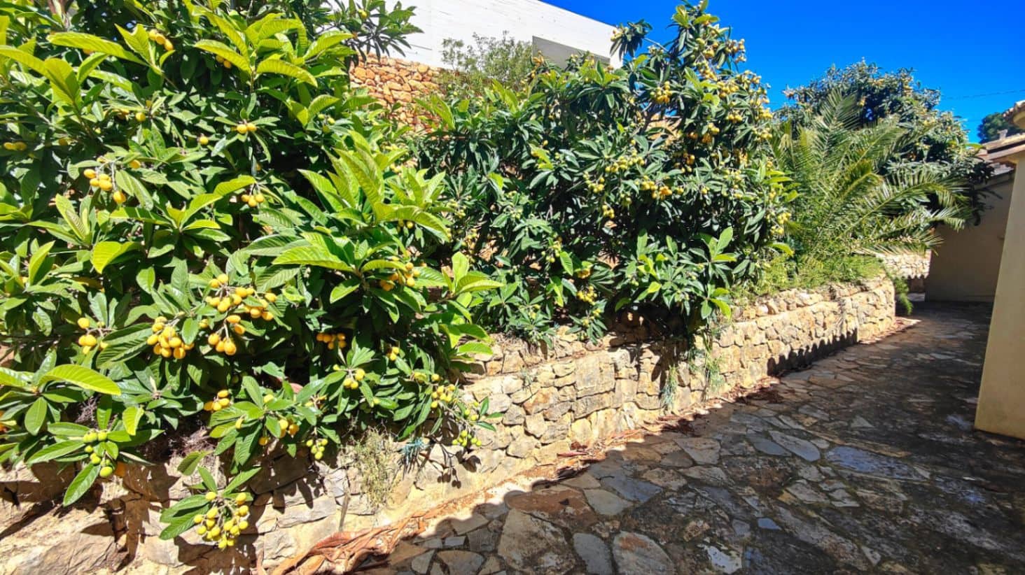 6 bedroom Villa for sale in Denia with pool garage - € 725,000 (Ref: 9821833)