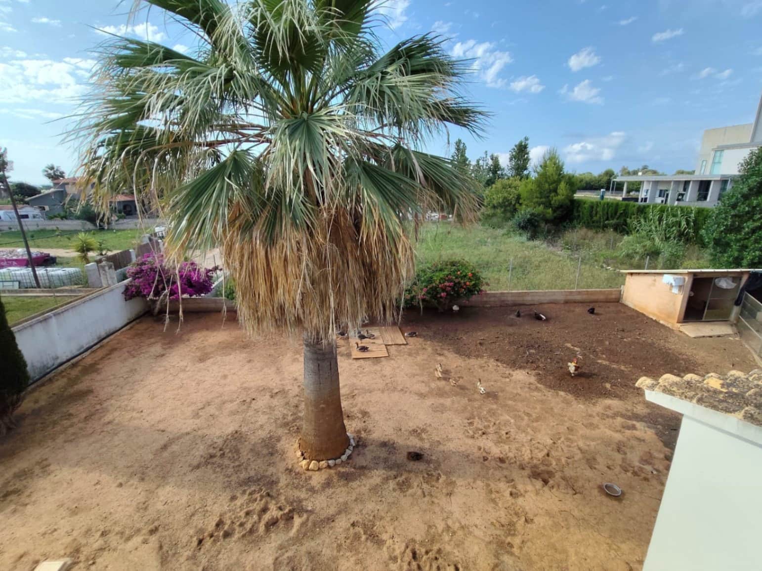 3 sypialnia Willa na sprzedaż w Denia z basenem - 445 000 € (Ref: 9996329)