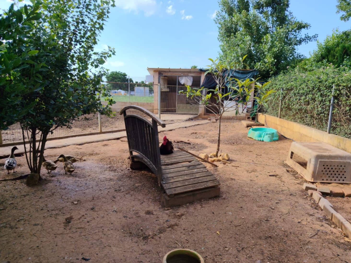 3 sypialnia Willa na sprzedaż w Denia z basenem - 445 000 € (Ref: 9996329)