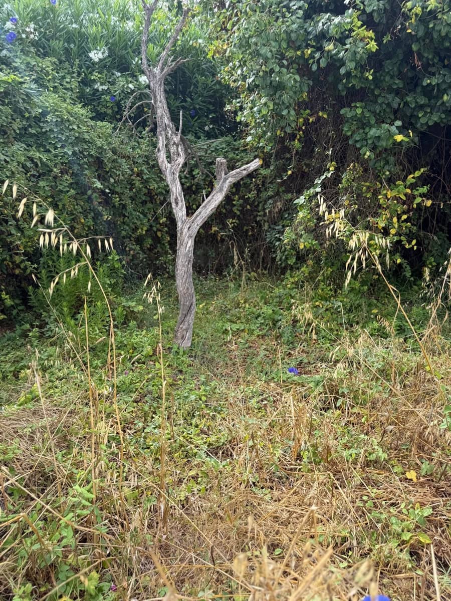 Building Plot for sale in El Paraiso - € 780,000 (Ref: 10095743)