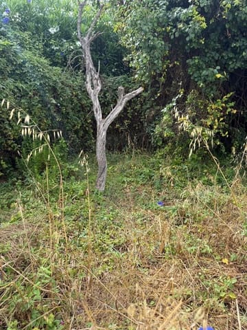 Building Plot for sale in El Paraiso, Estepona - € 780,000 (Ref: 10095743)