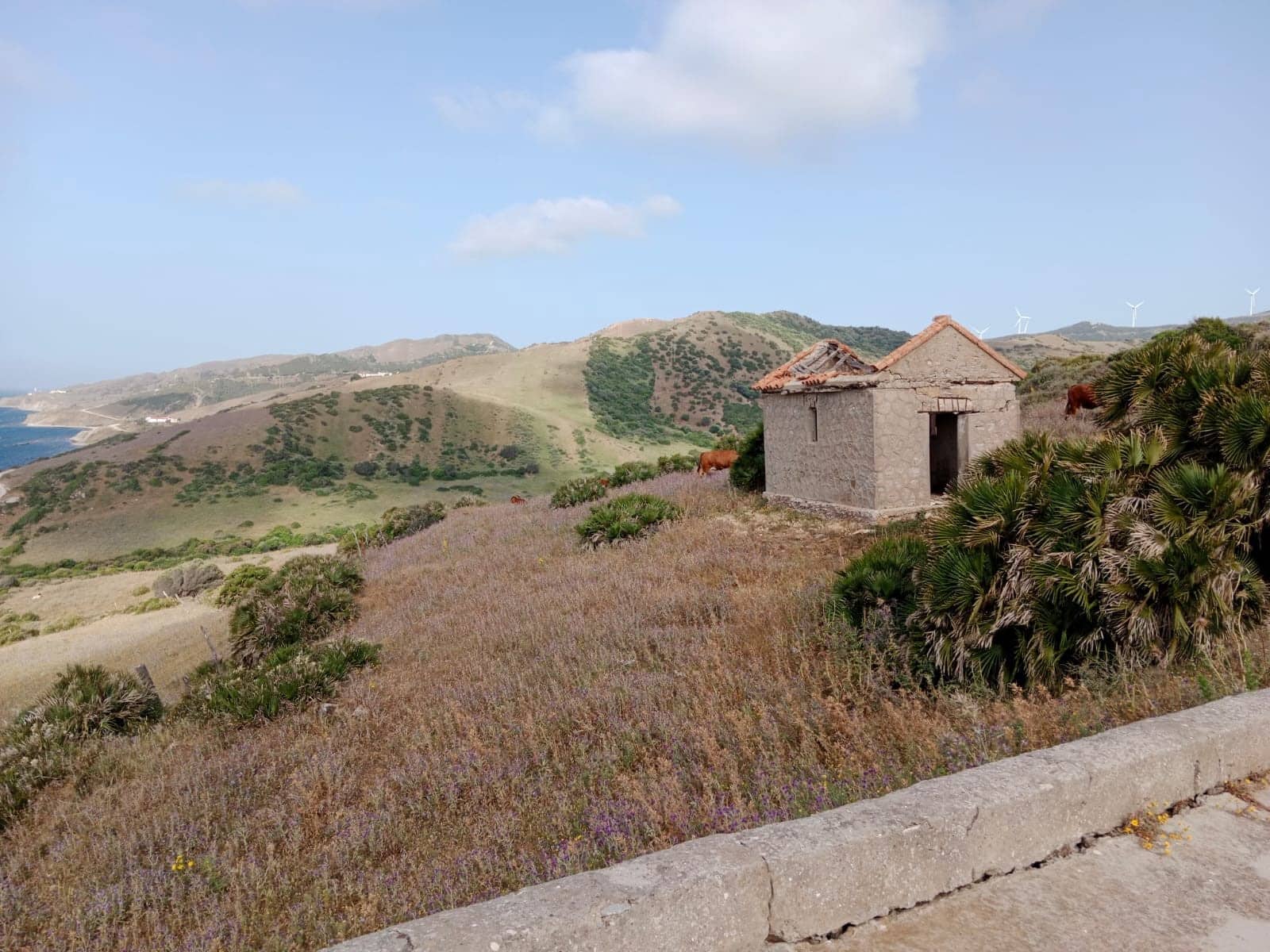 Building Plot for sale in Tarifa - € 600,000 (Ref: 10135162)
