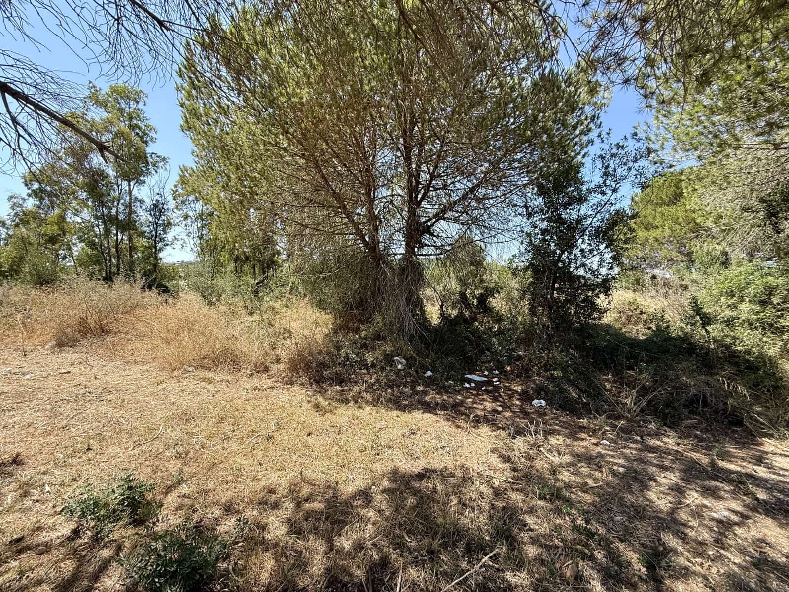 Byggegrund til salg i Sotogrande - € 920.000 (Ref: 9244322)