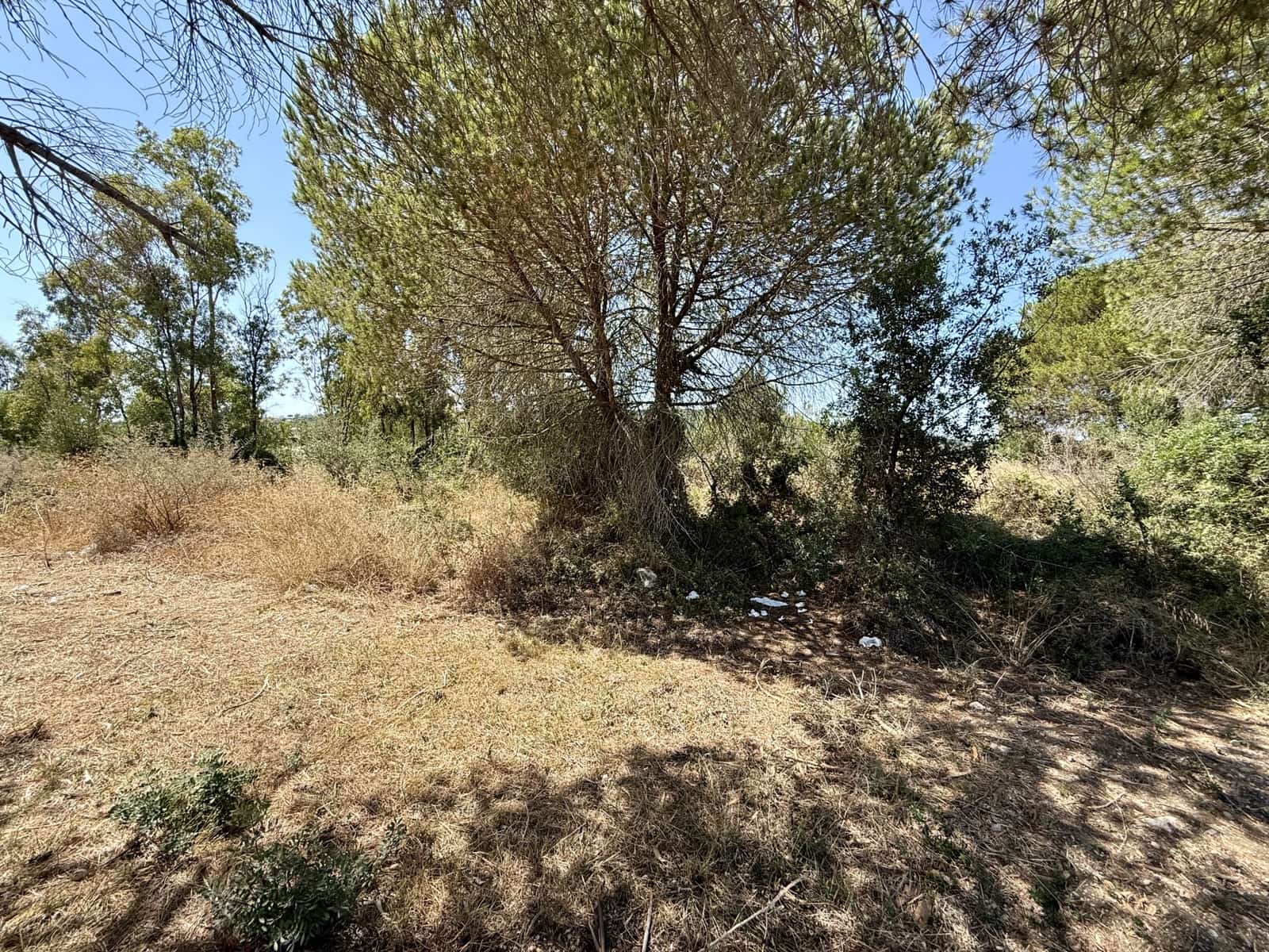 Bouwgrond te koop in Sotogrande - € 1.000.000 (Ref: 9244322)
