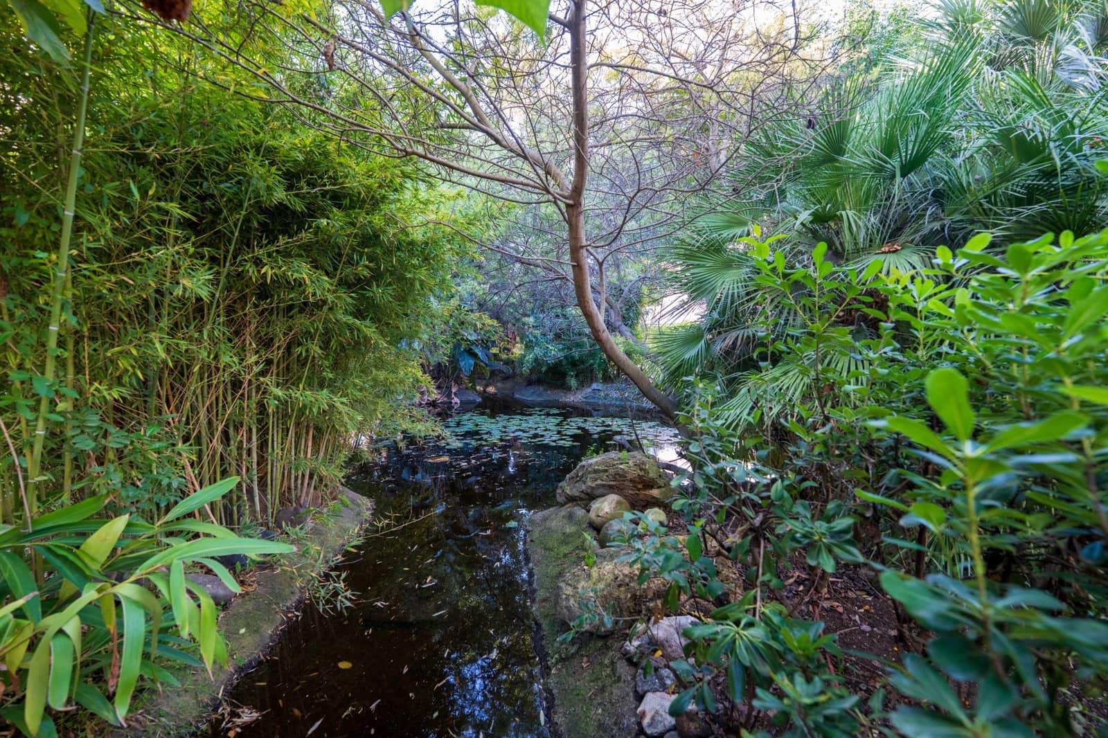 3 bedroom Apartment for sale in San Pedro de Alcantara with pool garage - € 790,000 (Ref: 9244340)