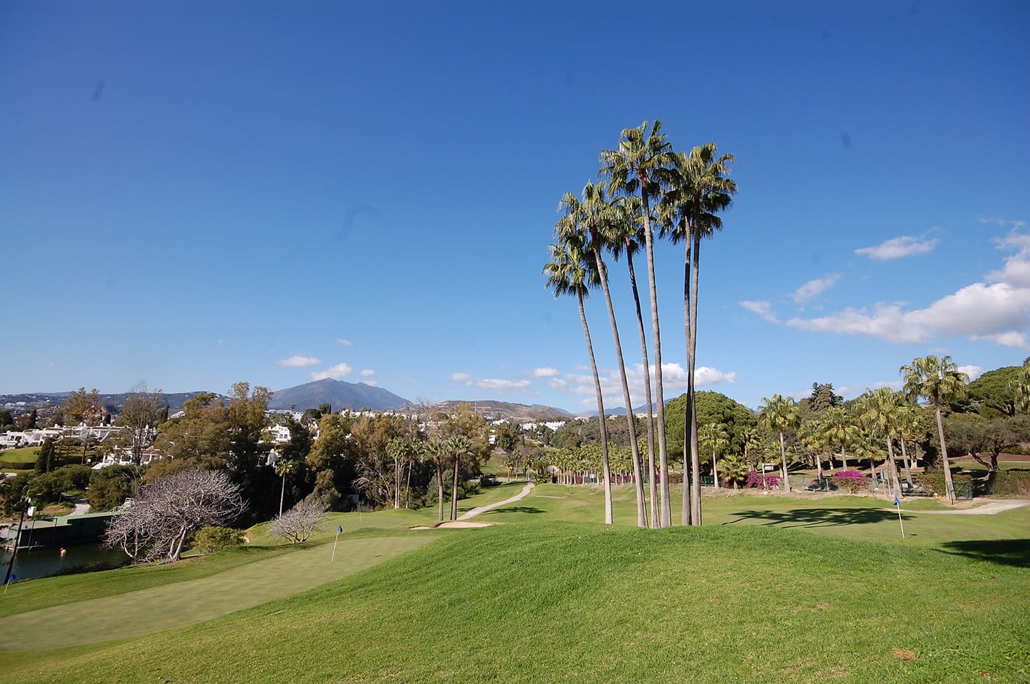 4 bedroom Villa for sale in Nueva Andalucia with pool garage - € 4,939,000 (Ref: 9245961)