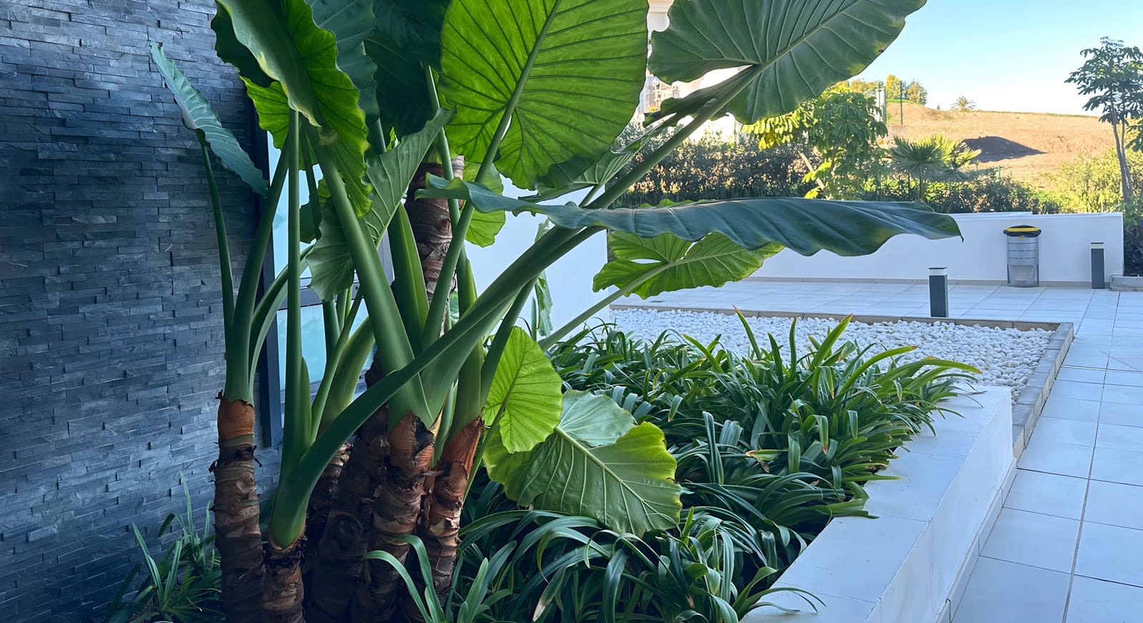 3 Zimmer Apartment zu verkaufen in Estepona mit Pool - 750.000 € (Ref: 9346606)