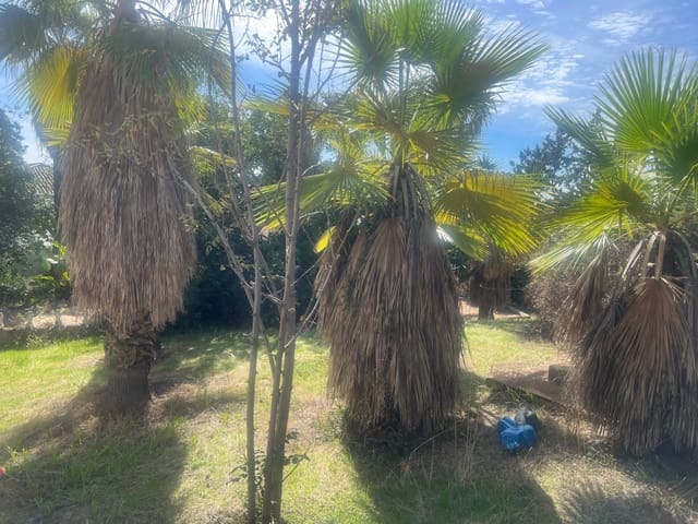 4 Zimmer Villa zu verkaufen in Marbella mit Pool Garage - 1.975.000 € (Ref: 9549983)