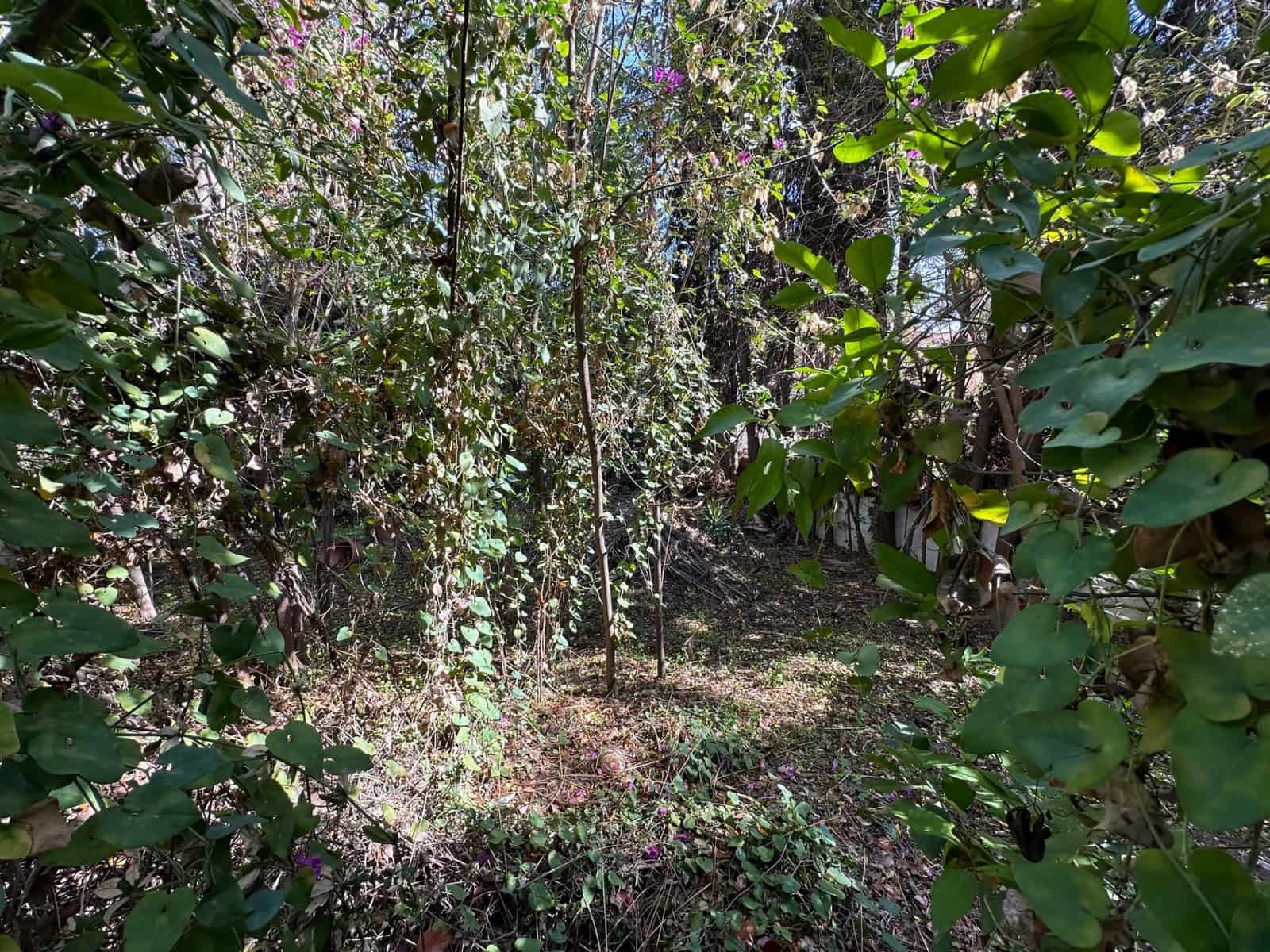 4 Zimmer Villa zu verkaufen in Marbella mit Pool Garage - 1.975.000 € (Ref: 9549983)