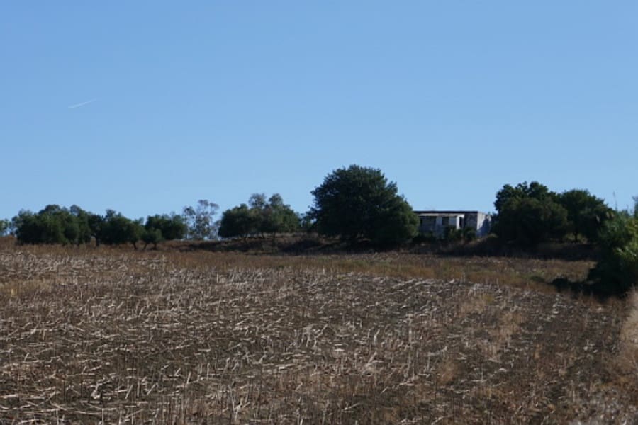 Building Plot for sale in Arcos de la Frontera - € 394,000 (Ref: 9713892)