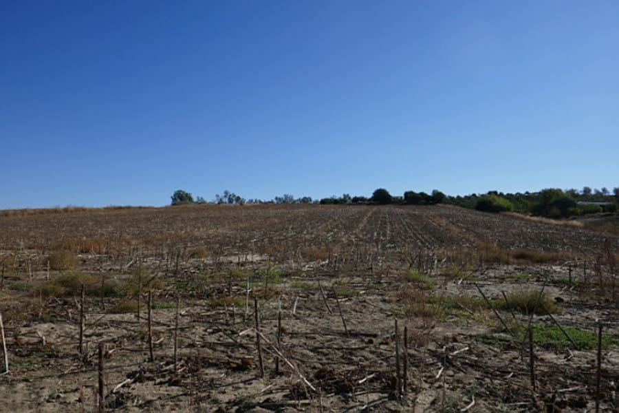 Building Plot for sale in Arcos de la Frontera - € 394,000 (Ref: 9713892)