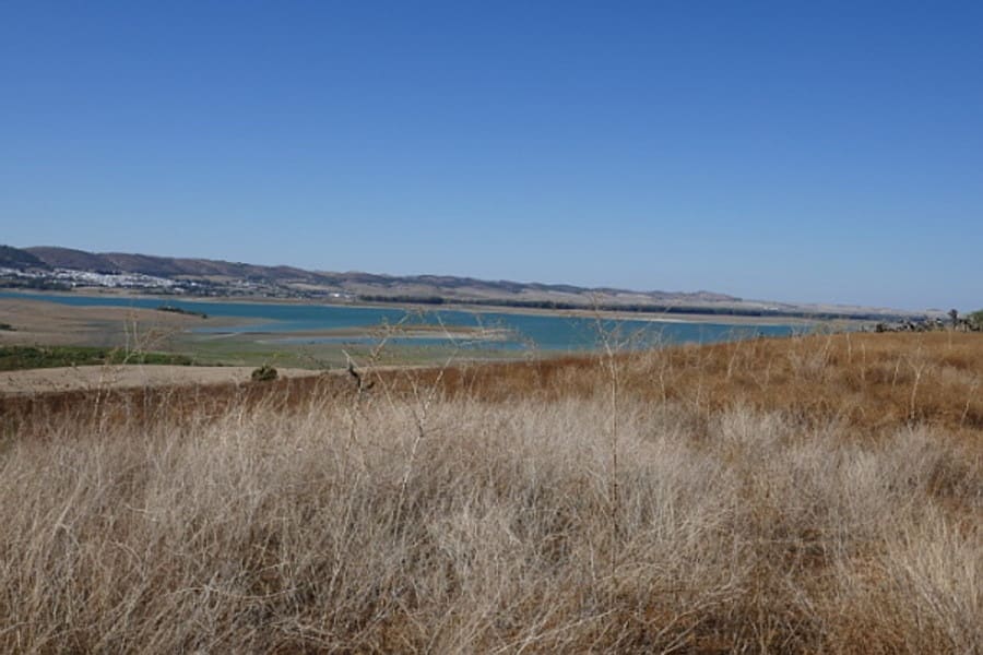 Building Plot for sale in Arcos de la Frontera - € 394,000 (Ref: 9713892)