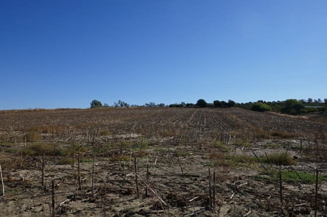 Solar/Parcela en Arcos de la Frontera en venta - 394.000 € (Ref: 9713892)