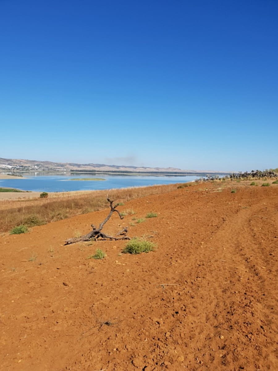 Building Plot for sale in Arcos de la Frontera - € 394,000 (Ref: 9713892)