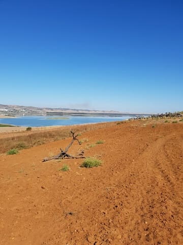 Solar/Parcela en Arcos de la Frontera en venta - 394.000 € (Ref: 9713892)