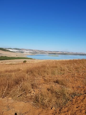 Bouwgrond te koop in Arcos de la Frontera - € 394.000 (Ref: 9713892)