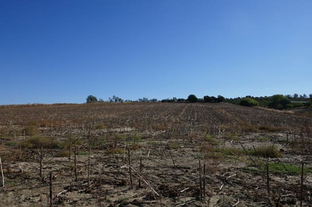 Bouwgrond te koop in Arcos de la Frontera - € 394.000 (Ref: 9713892)