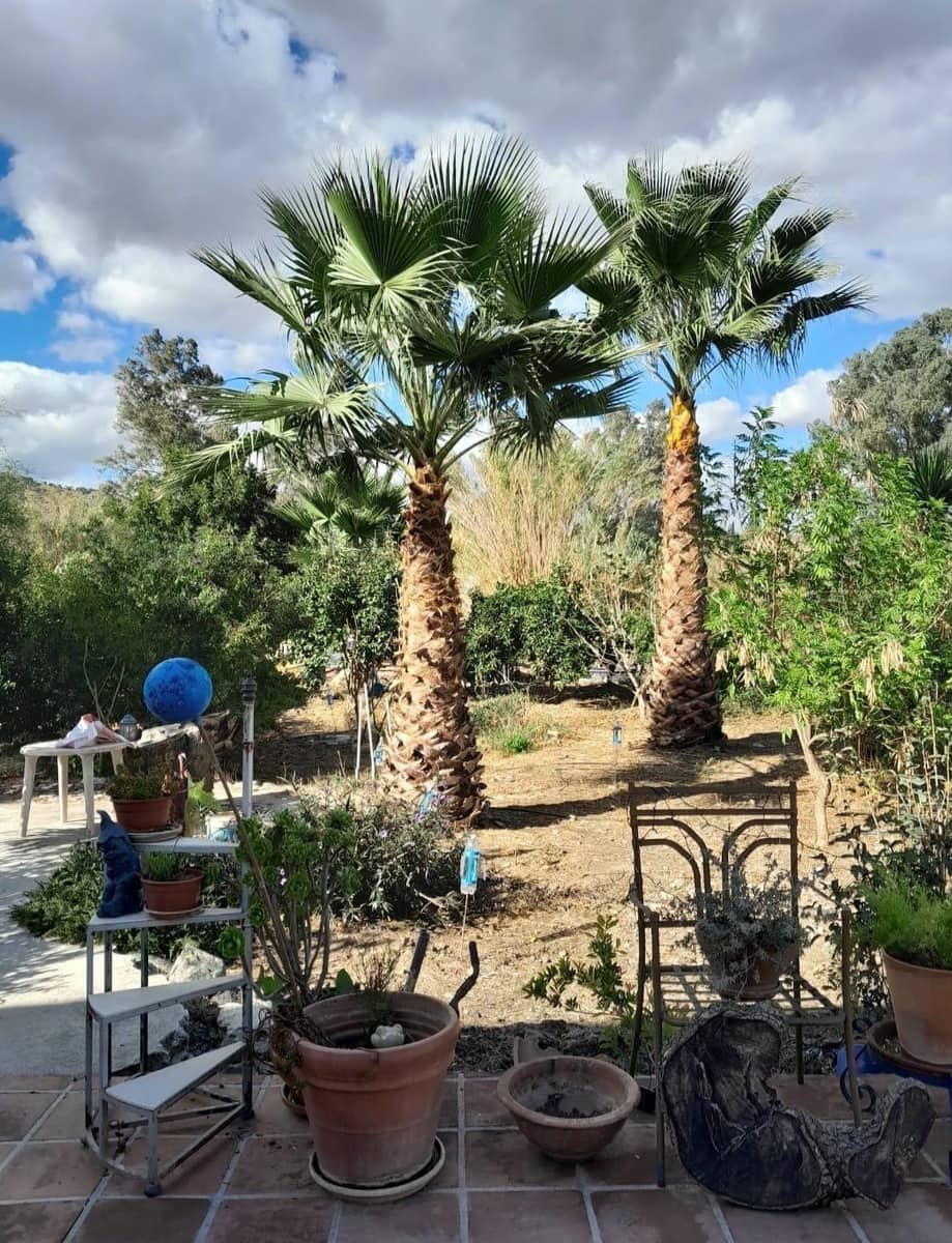 4 soveværelse Finca/Landehus til salg i Coin med swimmingpool - € 370.000 (Ref: 9939034)