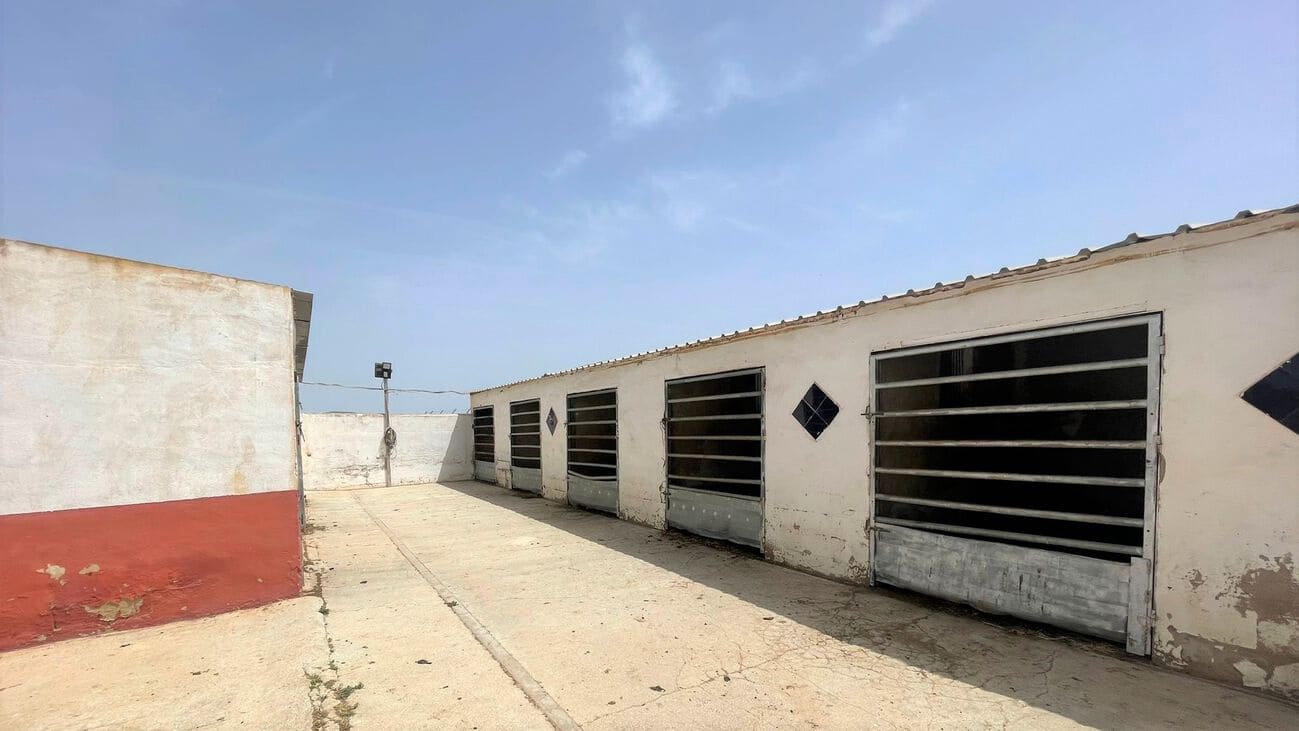 Kommersiell til salgs i Balsicas - € 439 000 (Ref: 7440968)