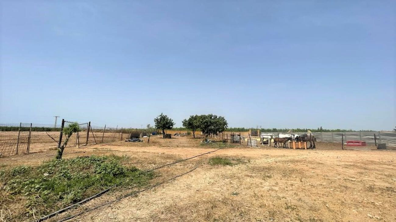 Commercial for sale in Balsicas - € 439,000 (Ref: 7440968)