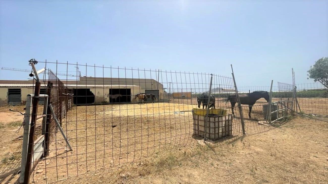 Commercial for sale in Balsicas - € 439,000 (Ref: 7440968)