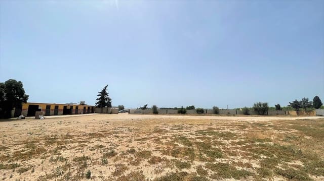 Erhverv til salg i Balsicas, Torre-Pacheco - € 439.000 (Ref: 7440968)