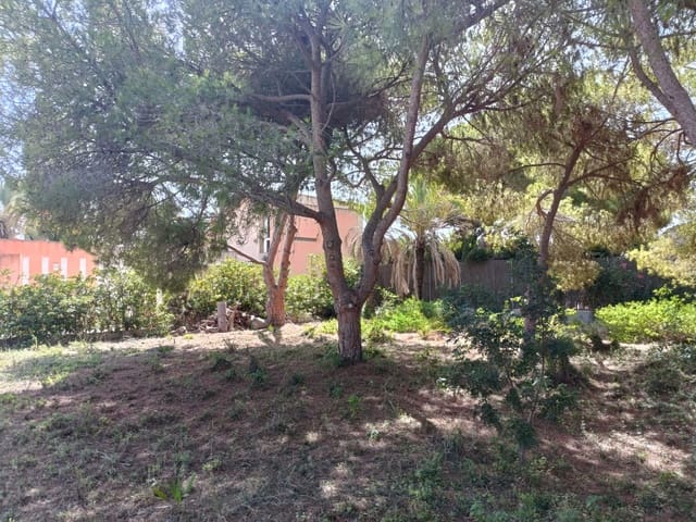 Undeveloped Land for sale in Cabo Roig, Orihuela - € 1,100,000 (Ref: 7793499)