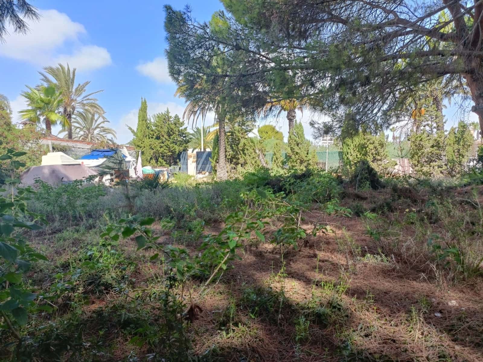 Undeveloped Land for sale in Cabo Roig - € 1,100,000 (Ref: 7793499)