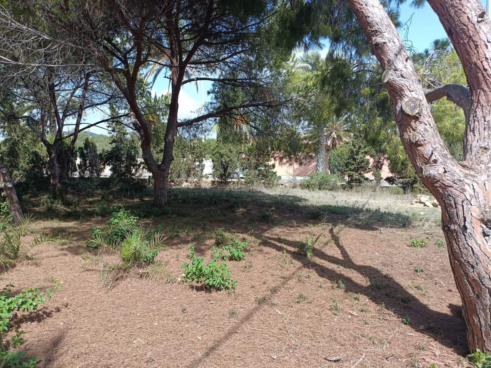 Undeveloped Land for sale in Cabo Roig - € 1,100,000 (Ref: 7793499)