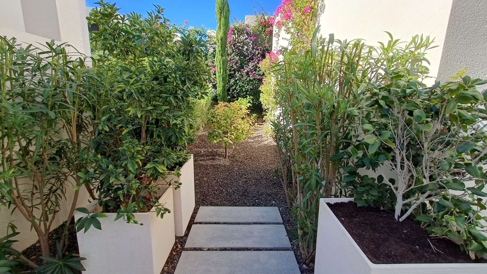 2 soveværelse Villa til salg i Algorfa med swimmingpool garage - € 660.000 (Ref: 8936056)