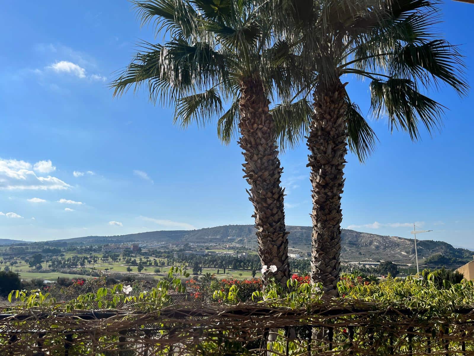 3 bedroom Villa for sale in Algorfa with pool garage - € 449,950 (Ref: 9208853)