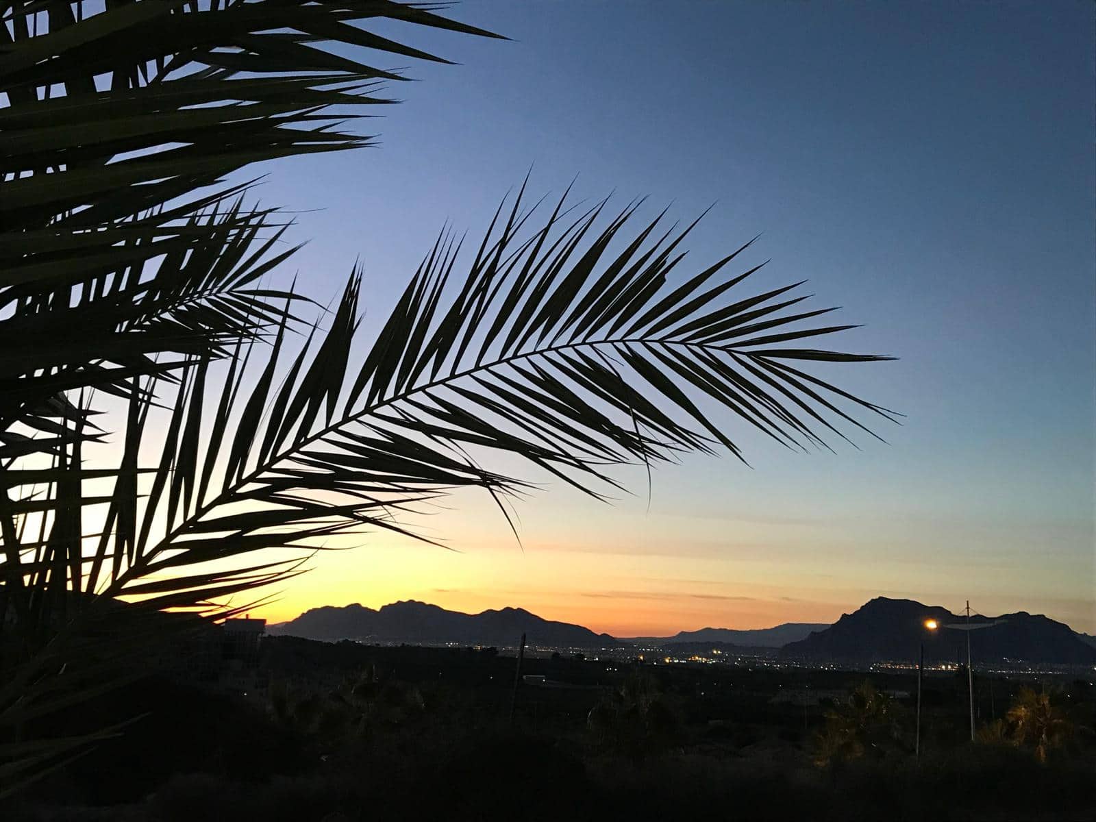 3 bedroom Villa for sale in Algorfa with pool garage - € 449,950 (Ref: 9208853)