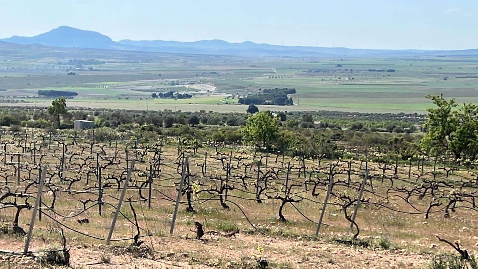 6 sypialnia Willa na sprzedaż w Yecla z basenem - 800 000 € (Ref: 9332198)