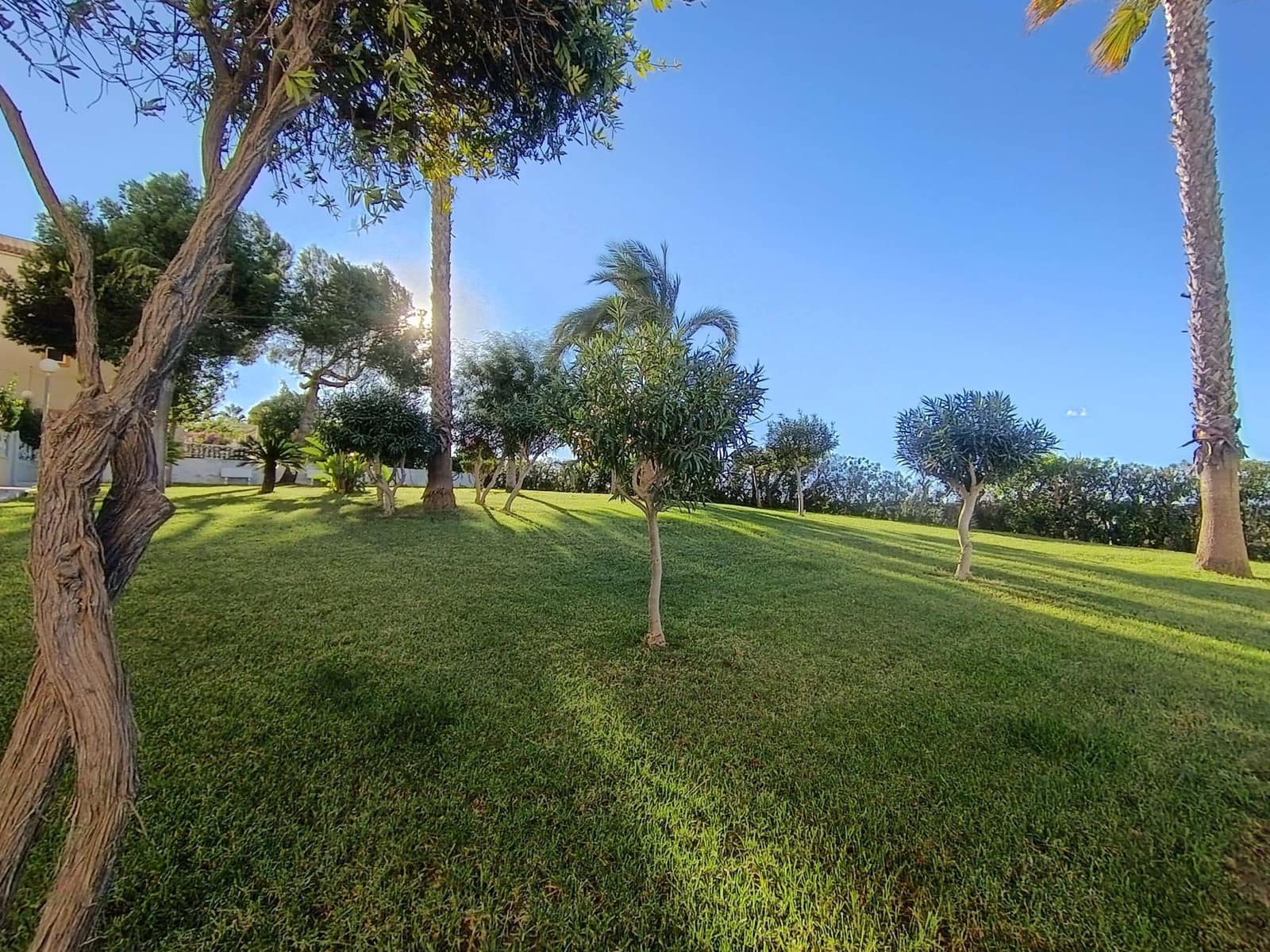 2 bedroom Apartment for sale in Torrevieja with pool - € 149,995 (Ref: 9421541)