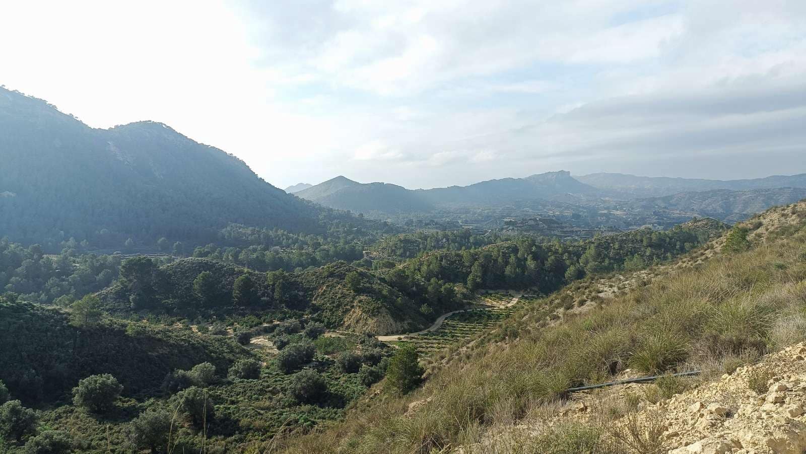 3 makuuhuone Maalaistalo myytävänä paikassa Gea y Truyols mukana uima-altaan 
autotalli - 590 000 € (Ref: 9450857)