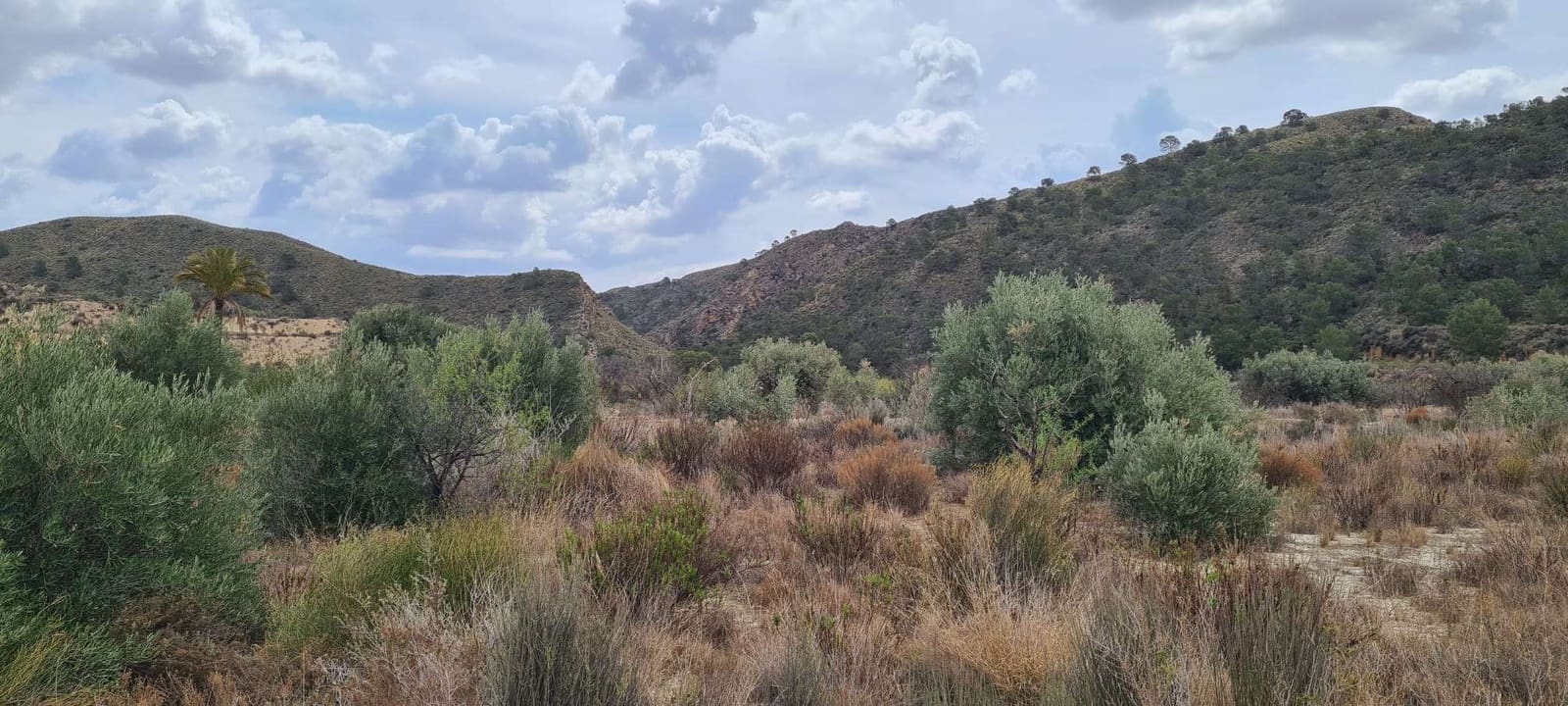 Rakentamaton maa myytävänä paikassa Abanilla - 299 000 € (Ref: 9652337)