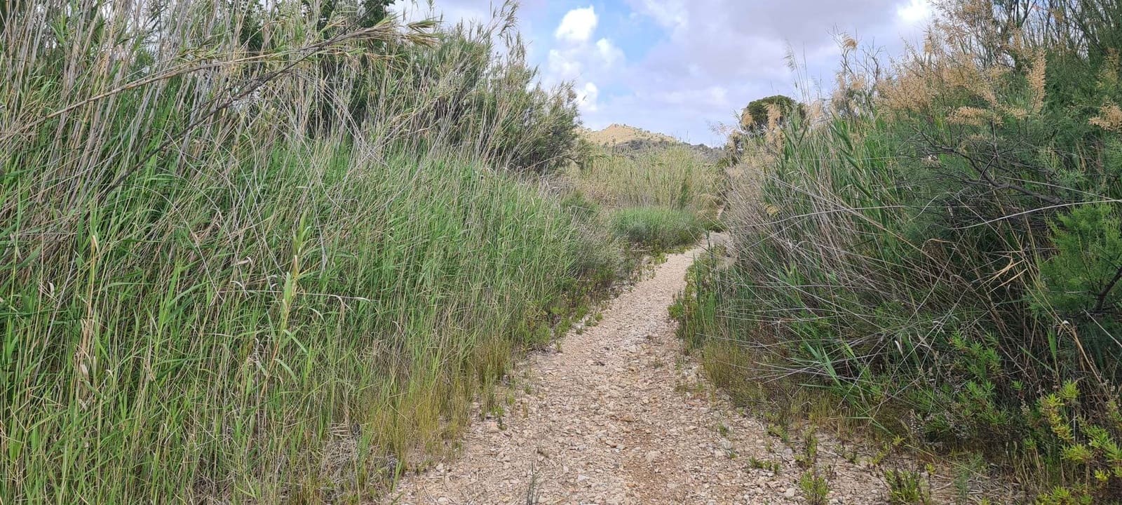 Rakentamaton maa myytävänä paikassa Abanilla - 299 000 € (Ref: 9652337)