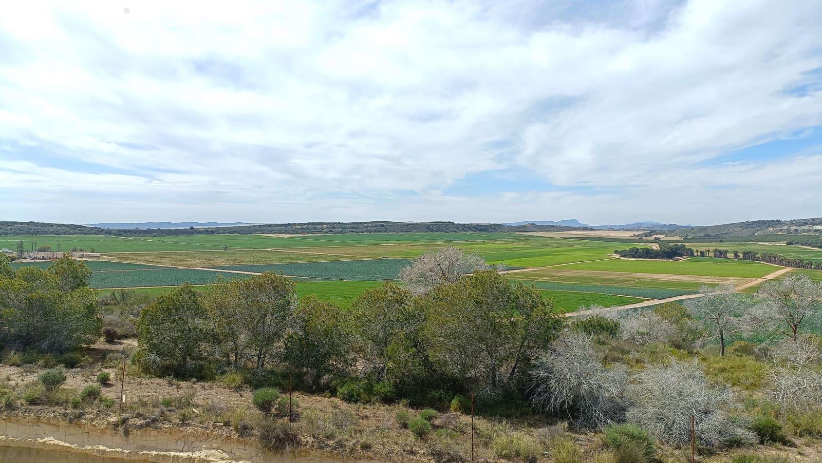 3 soverom Villa til salgs i Algorfa med svømmebasseng garasje - € 579 000 (Ref: 9730900)