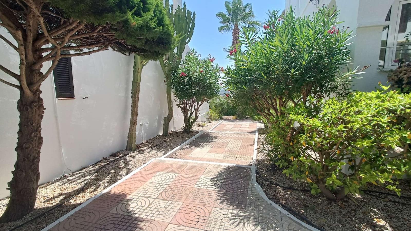 1 sypialnia Apartament na sprzedaż w Ciudad Quesada z basenem - 149 995 € (Ref: 9996281)