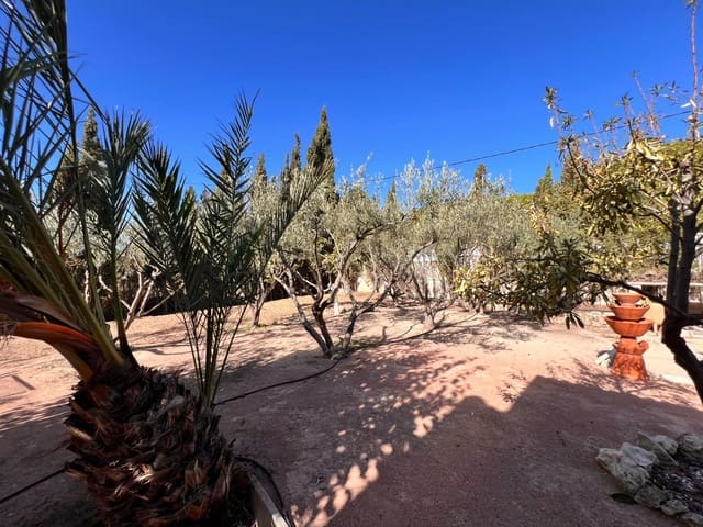 6 soverom Villa til salgs i Elche / Elx med svømmebasseng garasje - € 575 000 (Ref: 8626877)